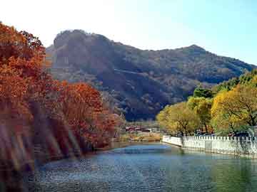 天天彩好彩天天免费，山东海力化工